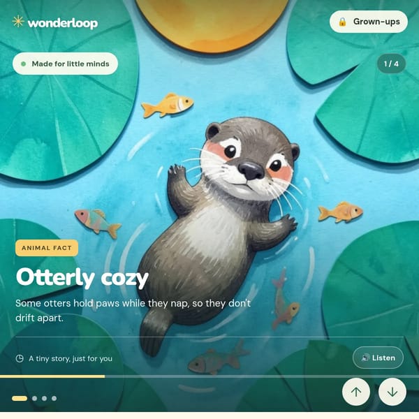 Wonderloop