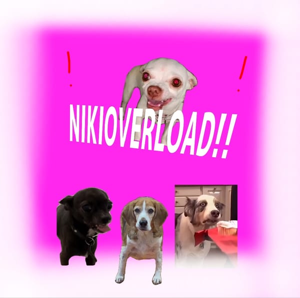 Niki Overload (Test/Wip)