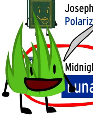 BFDI: Director's Cut