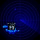 Bear5detector