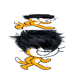scratch_cat_twin