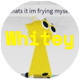 Whiteyailikitty