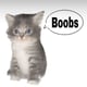 boobs