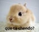 FunnyBunny