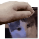 TheImDomN8R