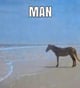 ai_guy123