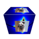 pugnumber450
