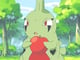 larvitar