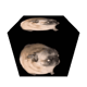 PuglandFlag56