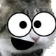 ImSillyCat
