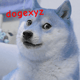 DogeXYZ