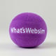 WhatsWebsim
