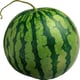 MelonUser2026