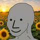 SunshineNPC