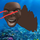 sp33dfish