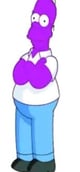 ADMIRALPURPLEHOMER