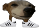 KingSammeFAN55