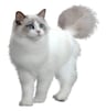 KittyZeKitty