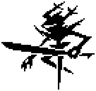 doomer
