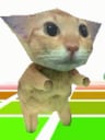 EpicDancingCat