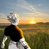 veilzon