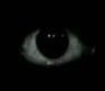 Staring_eye