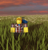 WxeWebsim
