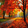 AutumnLeaf