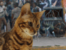 kat_gaming