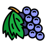 Poldz