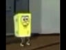 Sponkbib