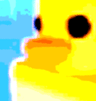 PenguinGuy