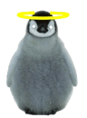 penguingod