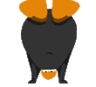 Whoisthat212_Justapenguin