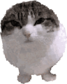 goffy_gobbery