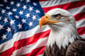 freedomlover