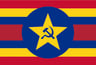 FlagDectector