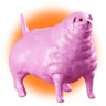 katloafxd