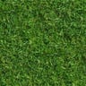 grass5