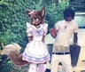 Deer_Common