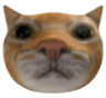 MrMeow