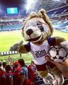 zabivaka