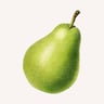 peary