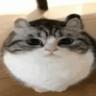 N0rbertXD