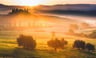 quarter
