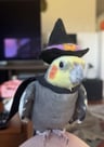 MrBirb