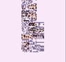 DerpyMISSINGNO