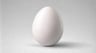 The_Egg