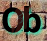 Ob13