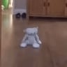 bear123
